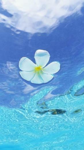 Samsung Galaxy Note Wallpaper