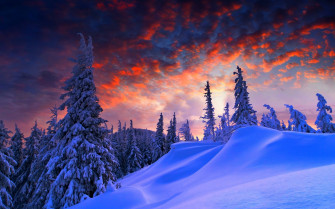 Snow Landscape Trees Wallpaper HD