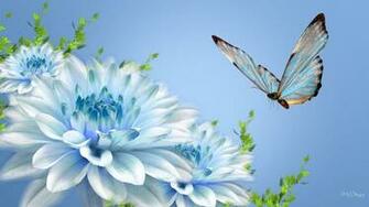Pretty Butterfly Background