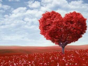 Love Of Nature Desktop Pc And Mac Wallpaper