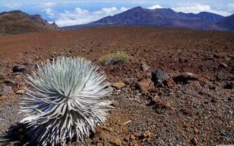 Haleakala National Park Maui Hawaii 4k HD Desktop Wallpaper