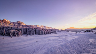 Winter Snow Trees 4k HD Wallpaper Image