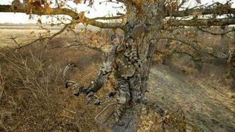 Mossy Oak Wallpaper Best Windows