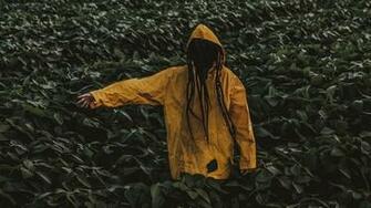 Hoodie Leaves Raincoat Green Wallpaper For
