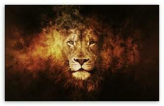 Lion HD Desktop Wallpaper High Definition Fullscreen Mobile
