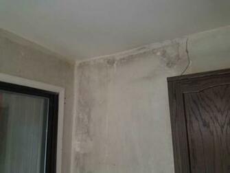 Our Mold Removal Services Growth Behind Wallpaper In East