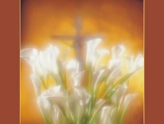 Holy Cross Wallpaper