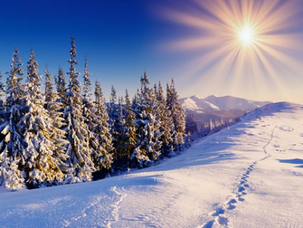 Winter Snow Wallpaper HD Wallpapermine