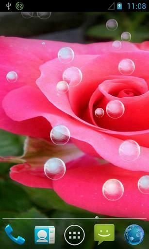 3d Rose Live Wallpaper Image Galleries Imagekb