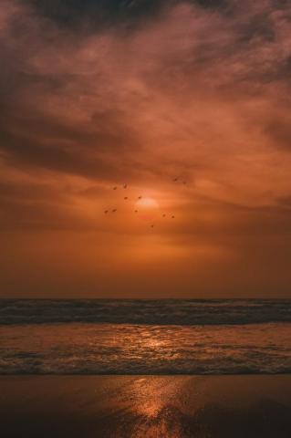 Brown Sky Pictures Image