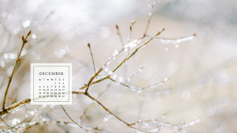 Holiday Background For Your Phone And Desktop