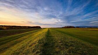 Wallpaper Road Roadside Grass Field Open Spaces HD Background