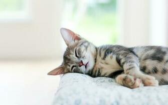 Best Asleep Wallpaper