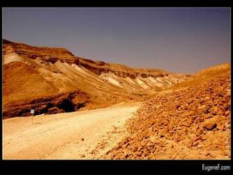 Background Wedding Pics Wallpaper Israeli Desert