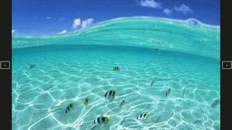 Beach Wallpaper