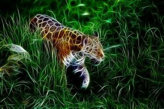 Neon Tiger Nyemix