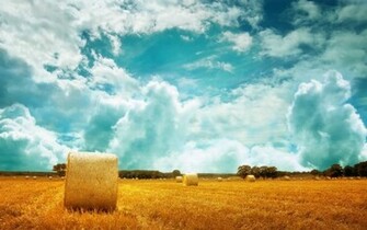 Nature Background For Mac Pictures In High Definition Or