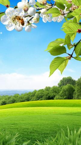 iPhone Wallpaper Beautiful Spring 3d