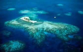 Beautiful Island In Belize Country North America Wallpaper HD