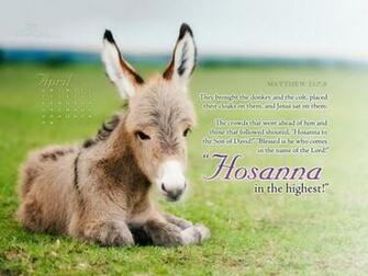 In The Highest Heaven Wallpaper Background From Crosscards