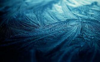 The Widescreen Aesthetic Snow And Frost HD Wallpaper