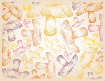 Hand Drawn Wallpaper Background Of Autumn Mushrooms Drawing By