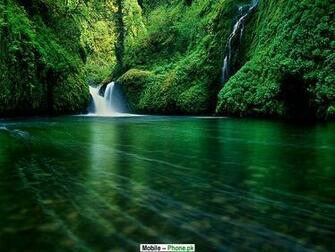 Nature Jpg