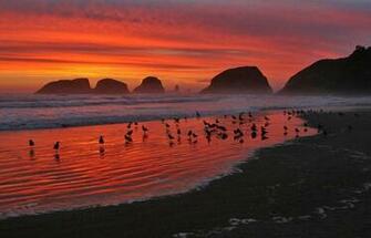 Cannon Beach Photos Inn At