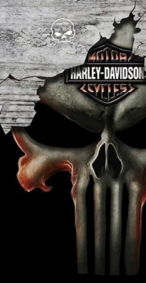 Floky On Art Harley Davidson Artwork