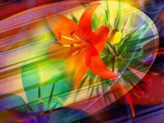 Bright Flower Wallpaper In High Resolution For Get