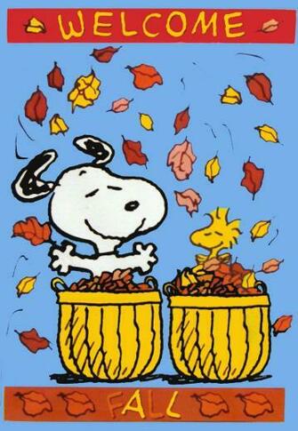 Characters Snoopy Charlie Brown And