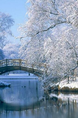 Set Wallpaper On Your Desktop Click The