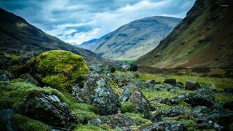 Rocky Mountain Wallpaper Nature