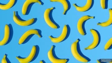 Zoom Virtual Background Design Pickle
