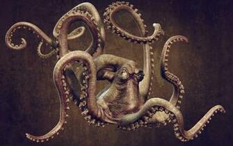 Octopus Computer Wallpaper Desktop Background