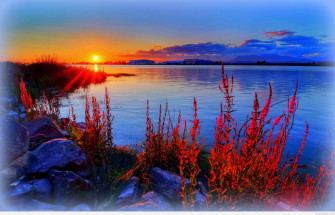 Summer Wallpaper For Desktop