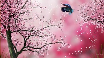 Madonna S Themes And Wallpaper New Background