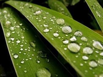 3d Rain Drops HD Wallpaper 2u