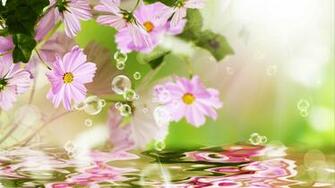 Summer Flowers Wallpaper Allwallpaper In Pc En