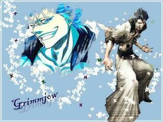 Grimmjow Jeagerjaques Wallpaper