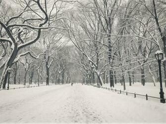Photography Wintercentral Park Winter Poets Walk In The Snow
