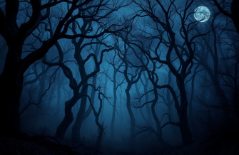 Dark HD Wallpaper 1080p