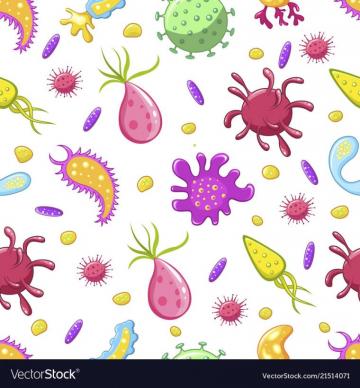 Bacteria HD Wallpaper Background