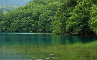 Scenic Summer Field Japan Hokkaido Country Scenery Wallpaper