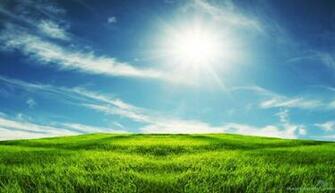 Grassland Landsacape Wallpaper