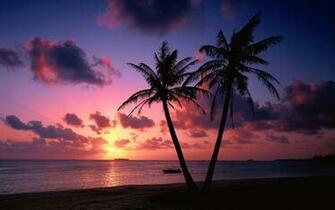Tropical Island Beach Sunset HD Wallpaper Background Image
