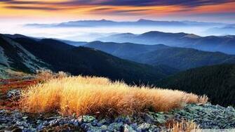 Beautiful Wallpaper Best