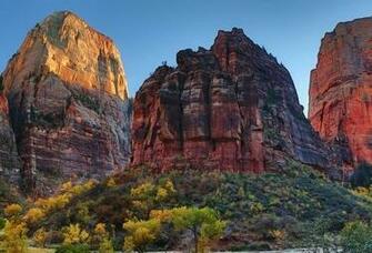 Wallpaper Utah Zion National Park Usa Rock Tree Desktop