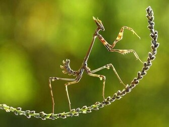 Wallpaper Breathtaking National Geographic Nature