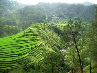 Wallpaper Of Uttarakhand Nature New